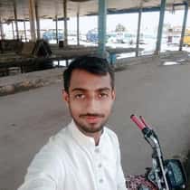 M Sajid