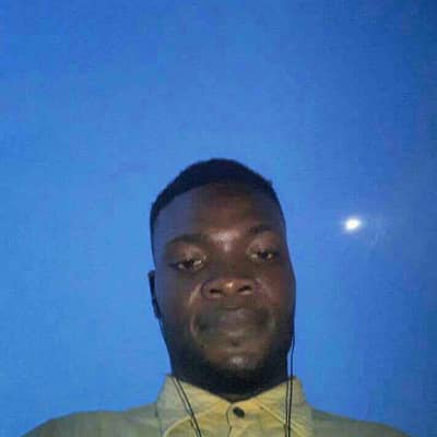 sunny-jay