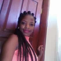 steicy