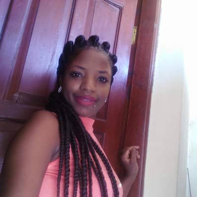 steicy