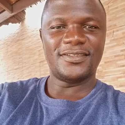 Ibro ibro