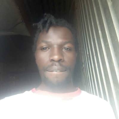 david