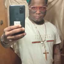 quintavis