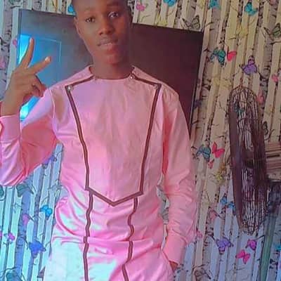 Kelvin stallion