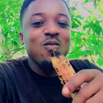 Flexibite