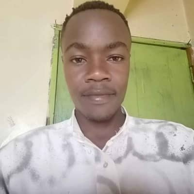 sylivesters gavin