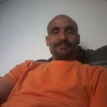 anis
