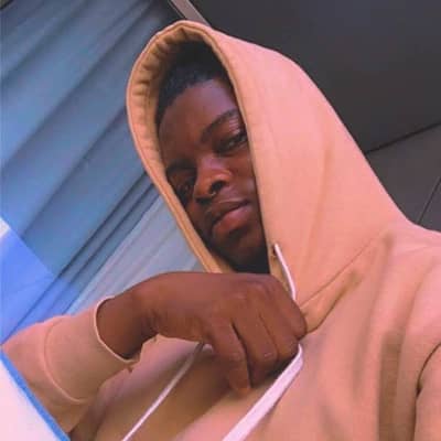acegemini
