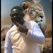 Boss Courageous