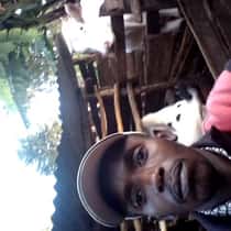 David