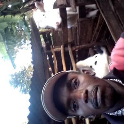 David