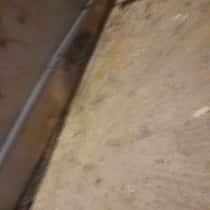 بحبك