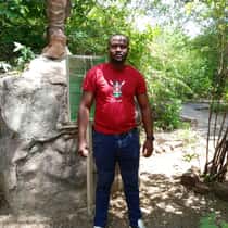 Allan 07