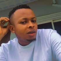 promise fab