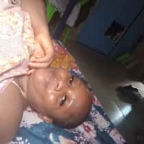 amylily