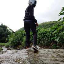 ruts