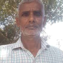 gulam1961
