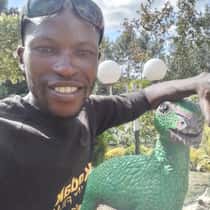 Dennis Nyakamu