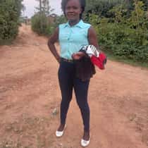 parsie
