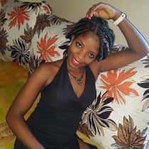 steicy