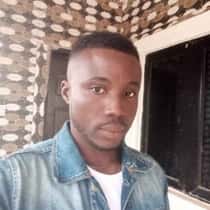 FESTUS