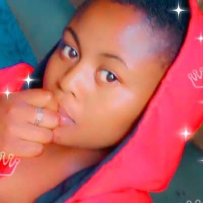 Contain debby