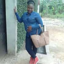 Gerboise