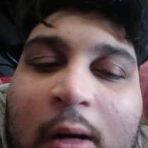 Fani