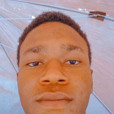 emelex
