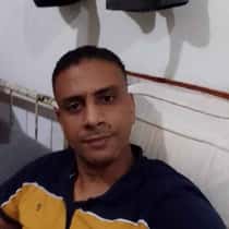 qaysar