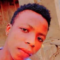Holly