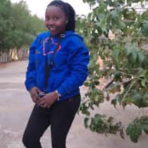 everlin