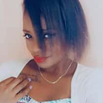 steicy