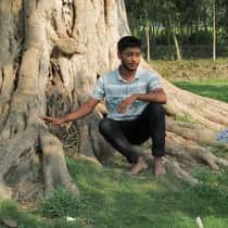 Nayon