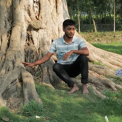 Nayon