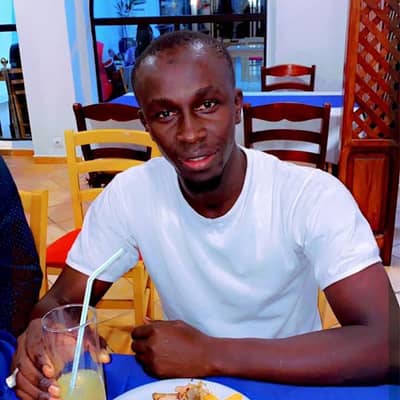Lamin