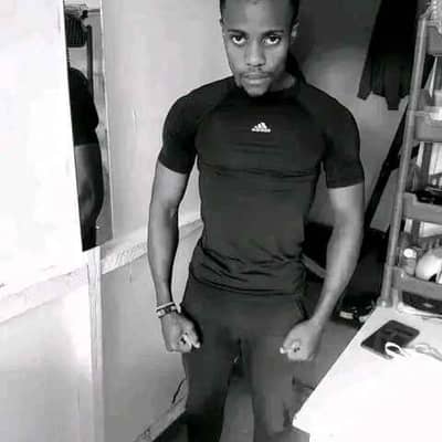 Allan 254