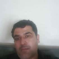 meddy