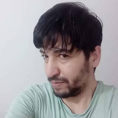 şahin