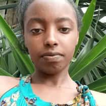 Rine