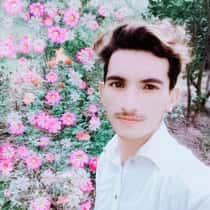 Raeea Shoaib