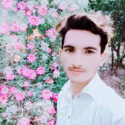 Raeea Shoaib