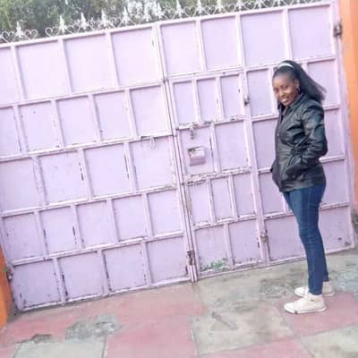 sheckyna