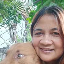 Jenny Barandino Tabut