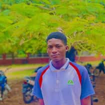 Joshua Holy
