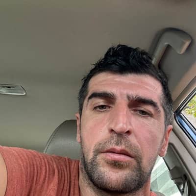 zaur