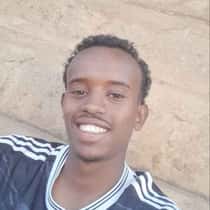 wiz