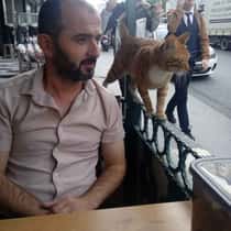 Recep