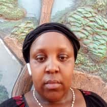 Portia katulah