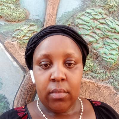 Portia katulah